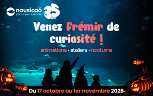 Nausica&aacute;